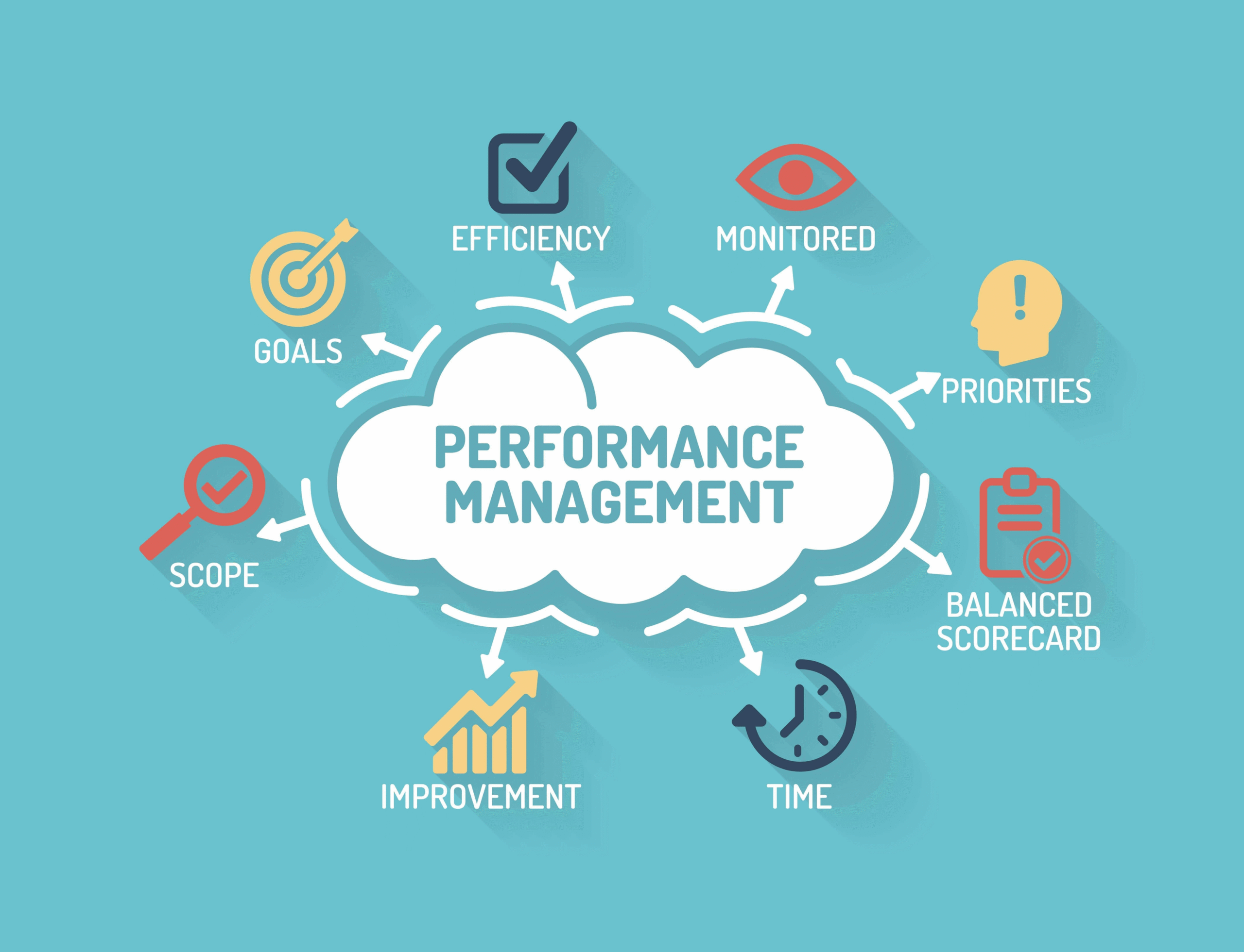Performance Management Software Systems