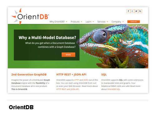 Изображение OrientDB